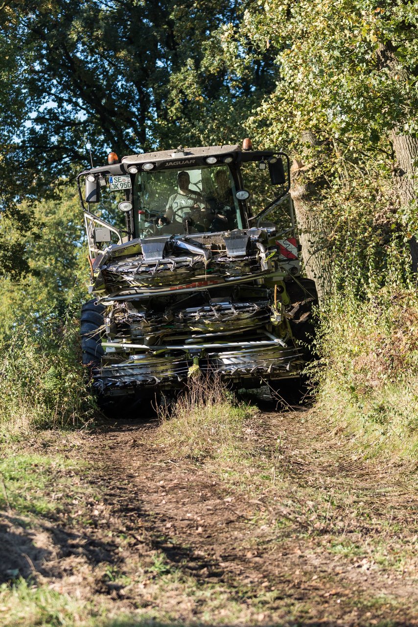 Bild 129 - Maisernte